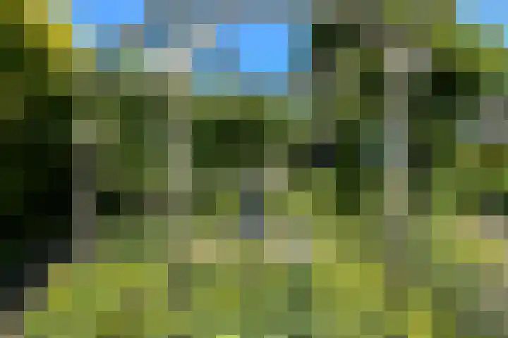 Valburgseweg 85 Elst thumbnail 79