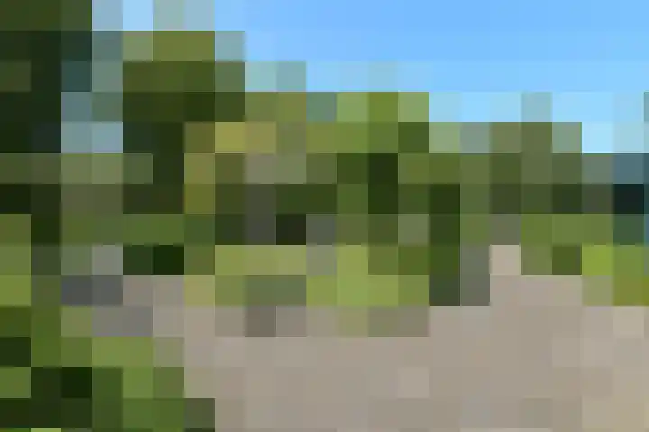 Valburgseweg 85 Elst thumbnail 80