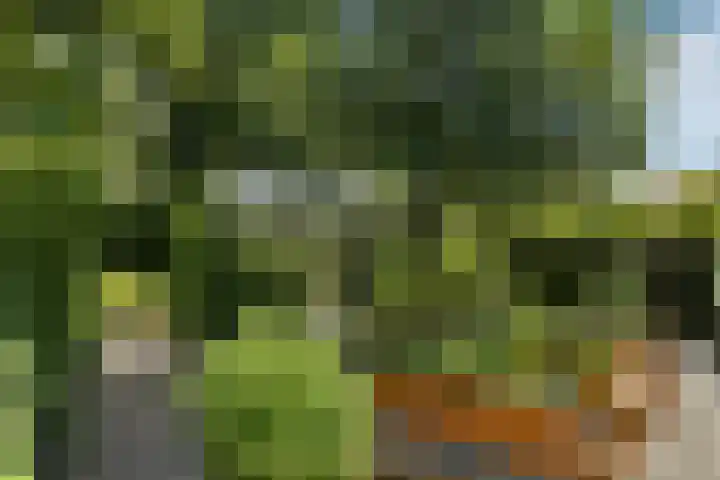Valburgseweg 85 Elst thumbnail 81