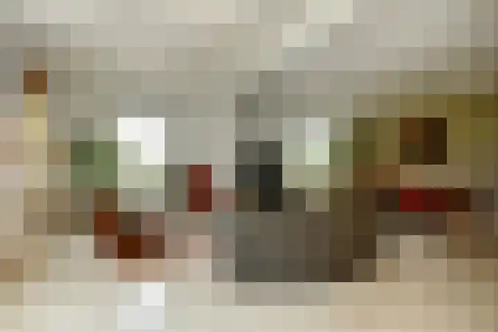 Valburgseweg 85 Elst thumbnail 9