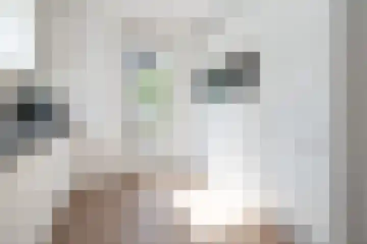Valck Lucassenhof 17 Driebergen-Rijsenburg thumbnail 13