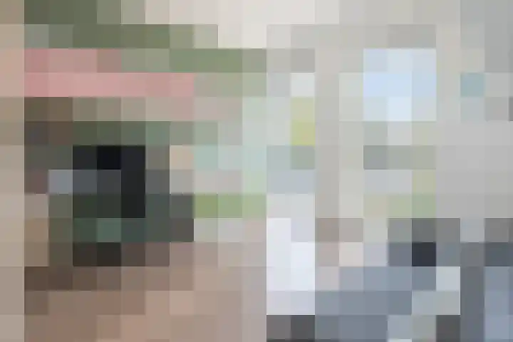 Valck Lucassenhof 17 Driebergen-Rijsenburg thumbnail 23