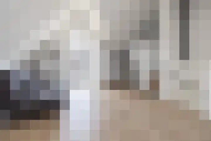 Valck Lucassenhof 17 Driebergen-Rijsenburg thumbnail 34