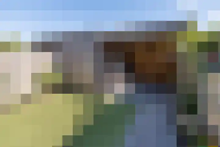 Valck Lucassenhof 17 Driebergen-Rijsenburg thumbnail 38