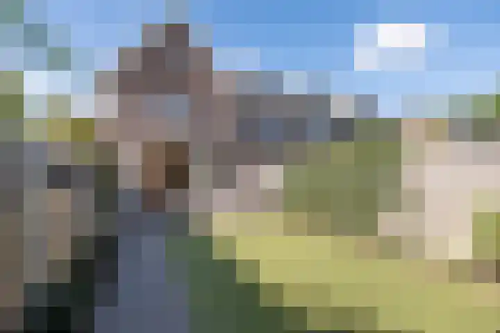 Valck Lucassenhof 17 Driebergen-Rijsenburg thumbnail 41