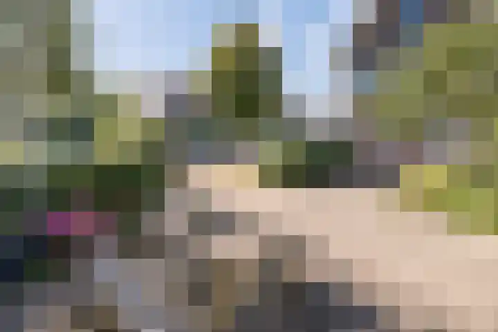 Valck Lucassenhof 17 Driebergen-Rijsenburg thumbnail 45