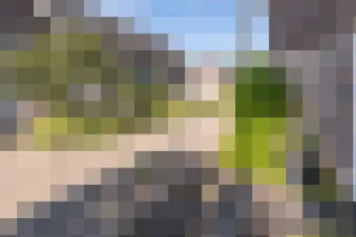 Valck Lucassenhof 17 Driebergen-Rijsenburg thumbnail 47