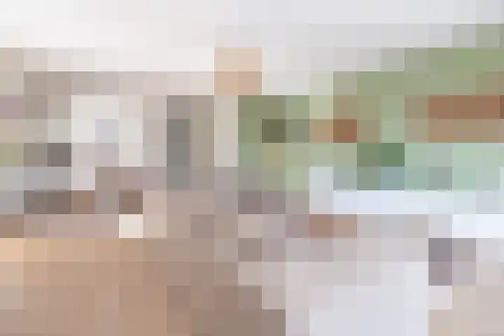Valck Lucassenhof 17 Driebergen-Rijsenburg thumbnail 7