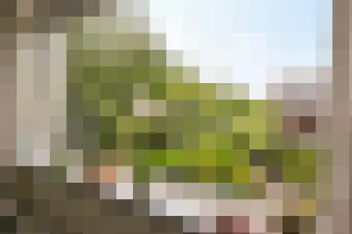 Valckenhoeflaan 29 Santpoort-Noord thumbnail 8
