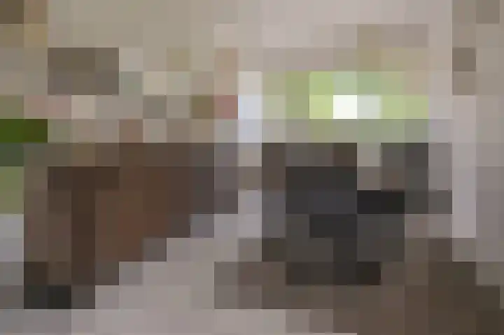 Valckenhoeflaan 29 Santpoort-Noord thumbnail 9