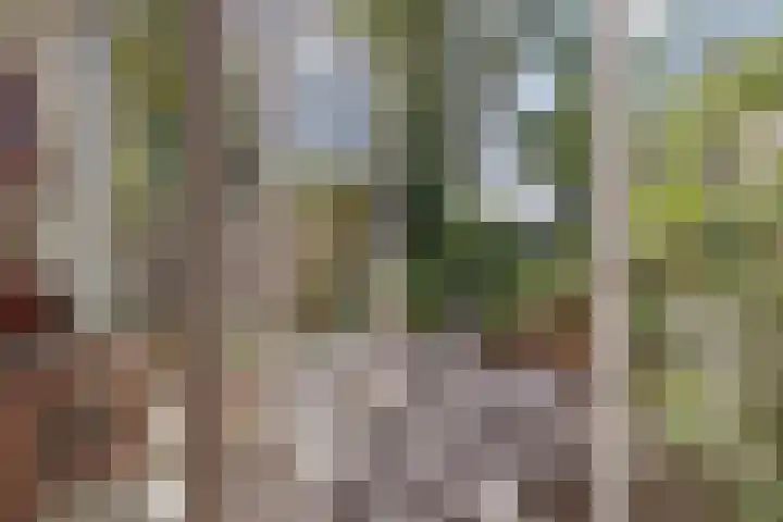 Valckenhoeflaan 33 Santpoort-Noord thumbnail 18
