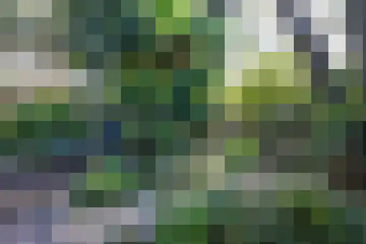 Valckenhoeflaan 33 Santpoort-Noord thumbnail 20