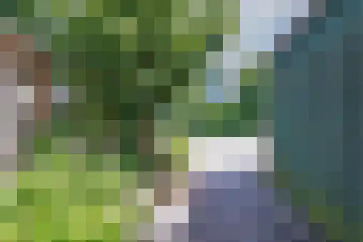 Valckenhoeflaan 33 Santpoort-Noord thumbnail 29