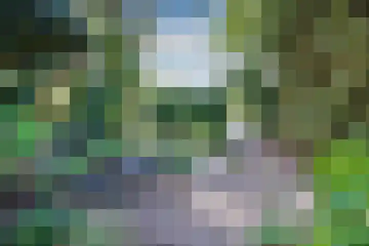 Valckenhoeflaan 33 Santpoort-Noord thumbnail 6