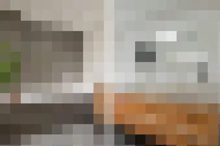 Valckenhoeflaan 33 Santpoort-Noord thumbnail 61