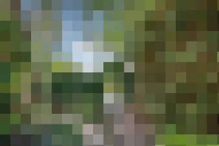 Valckenhoeflaan 33 Santpoort-Noord thumbnail 64