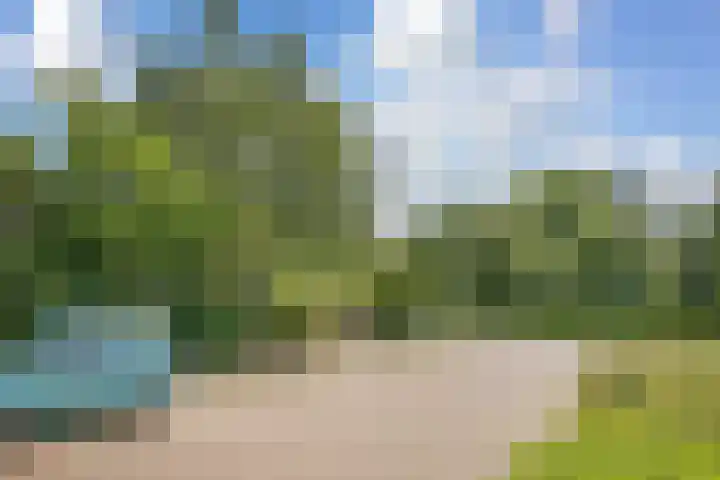 Valckenhoeflaan 33 Santpoort-Noord thumbnail 67
