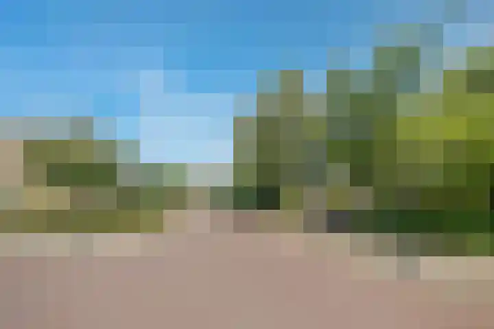 Valckenhoeflaan 33 Santpoort-Noord thumbnail 69