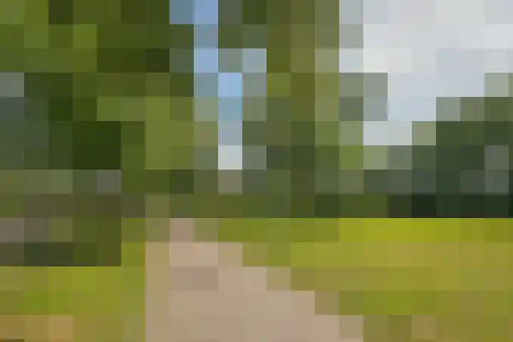 Valckenhoeflaan 33 Santpoort-Noord thumbnail 70