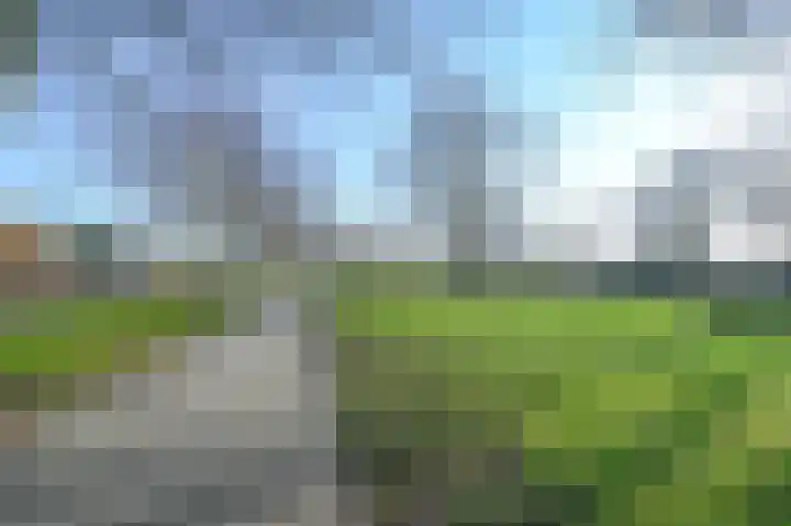 Valckenhoeflaan 37 Santpoort-Noord thumbnail 48