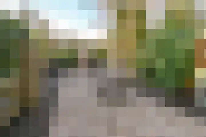 Valckenhoeflaan 37 Santpoort-Noord thumbnail 5