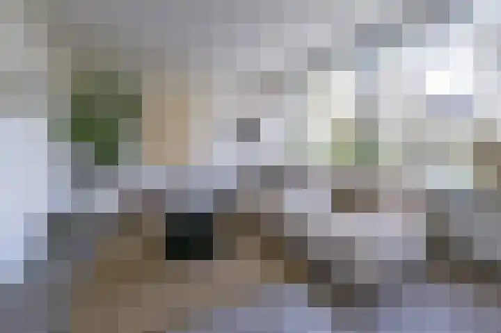 Valckenhoeflaan 37 Santpoort-Noord thumbnail 7