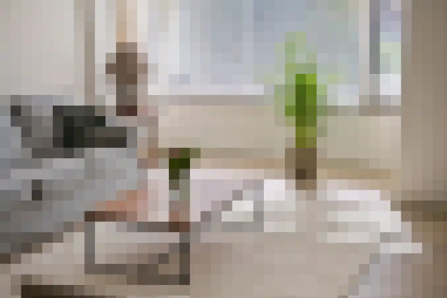 Valckeniershof 5 Heveadorp thumbnail 13