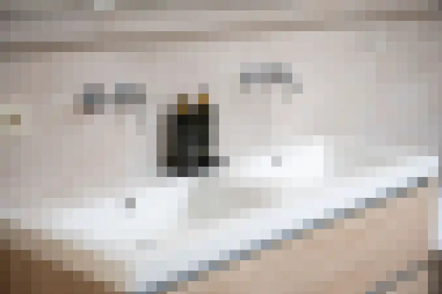 Valckeniershof 5 Heveadorp thumbnail 43