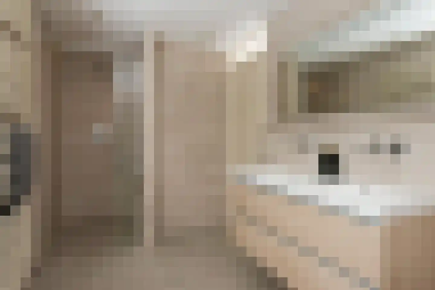 Valckeniershof 5 Heveadorp thumbnail 44