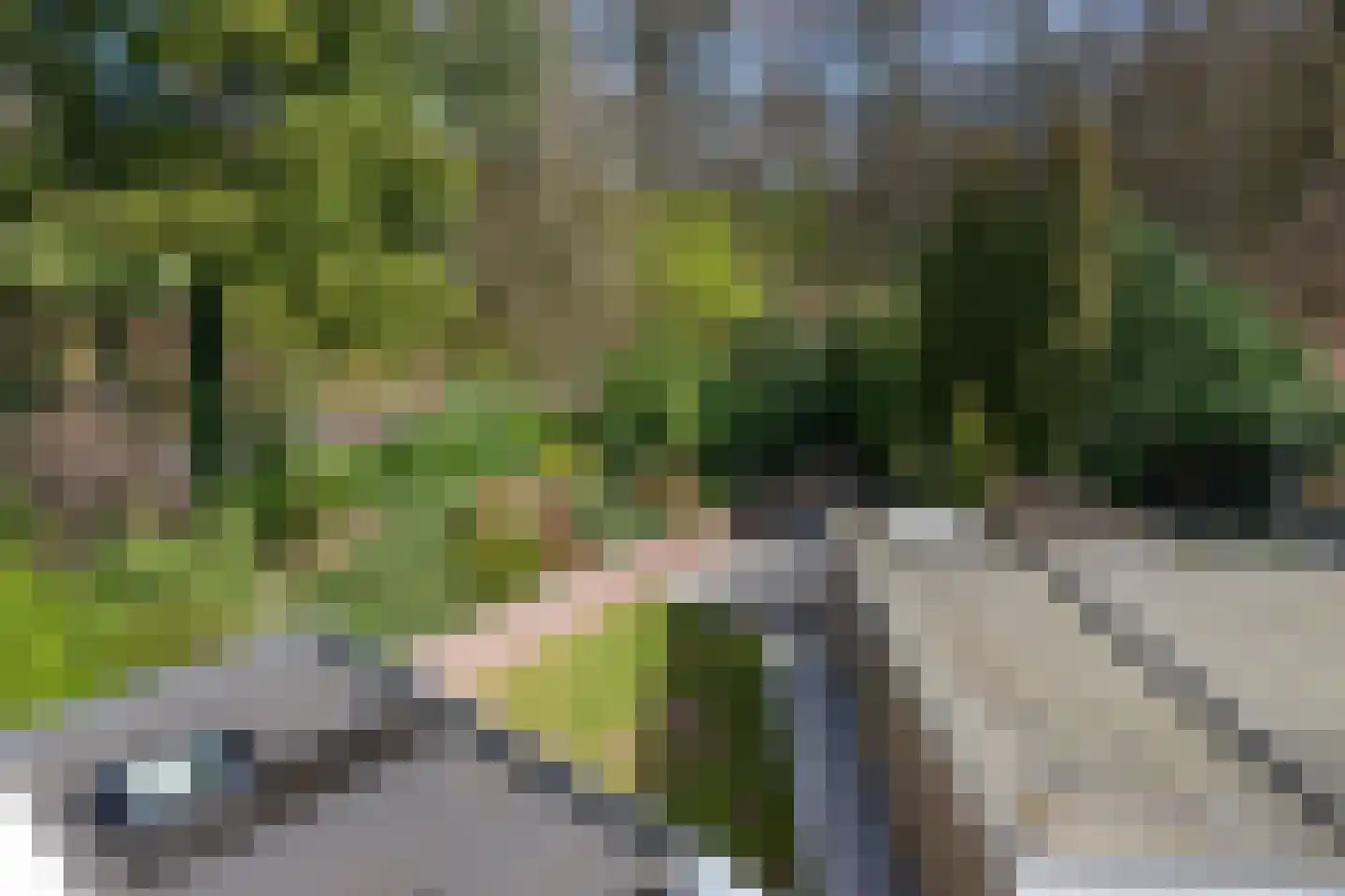 Valckeniershof 5 Heveadorp thumbnail 55