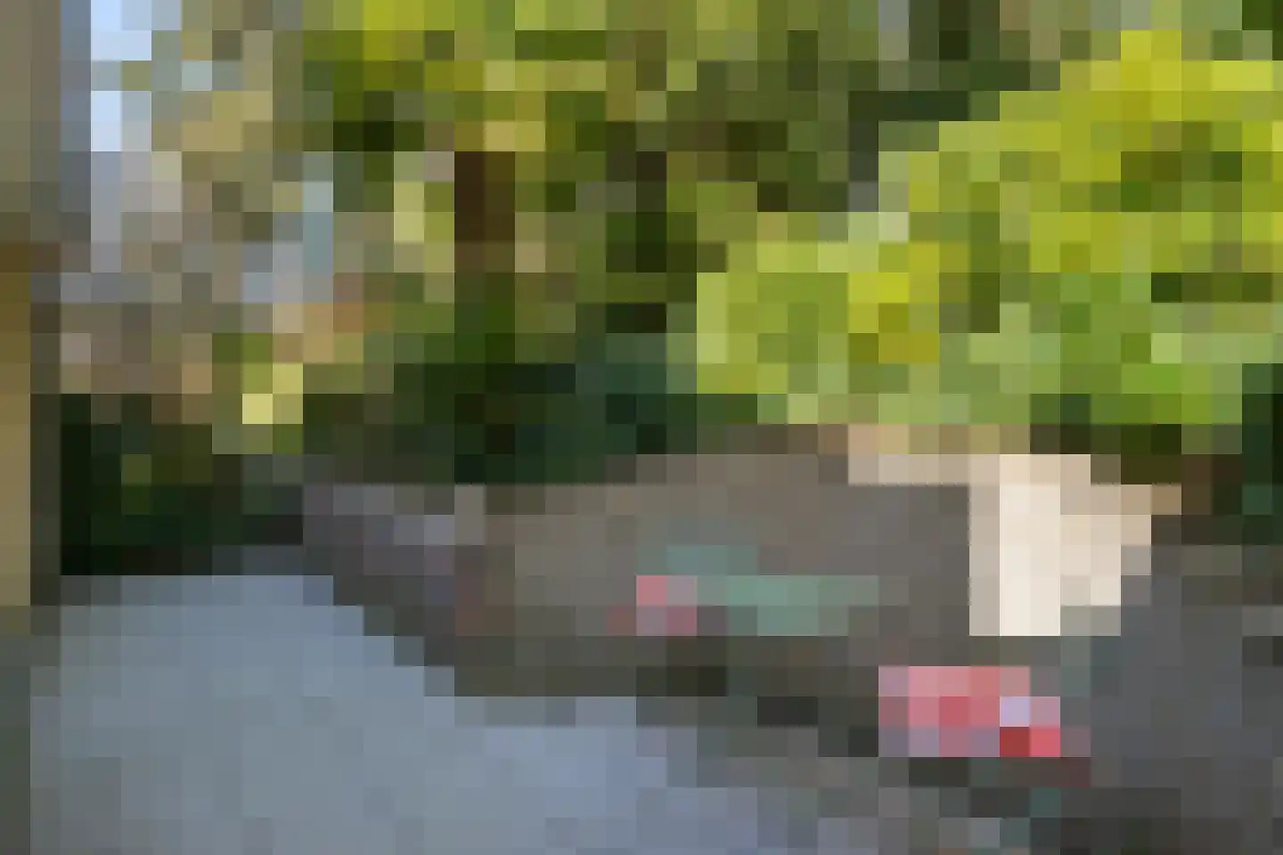 Valckeniershof 5 Heveadorp thumbnail 64