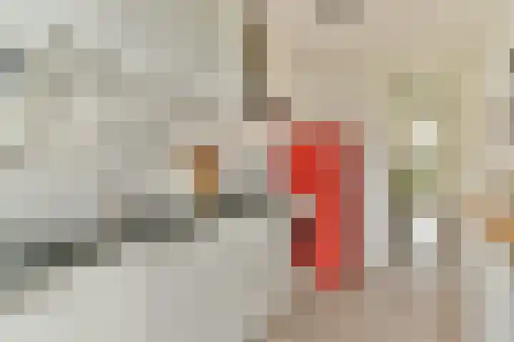 Valckenierstraat 21 2 Amsterdam thumbnail 11