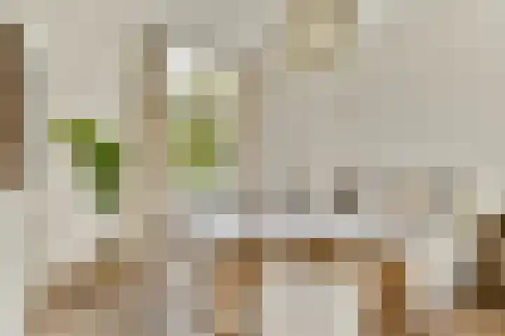 Valckenierstraat 21 2 Amsterdam thumbnail 13
