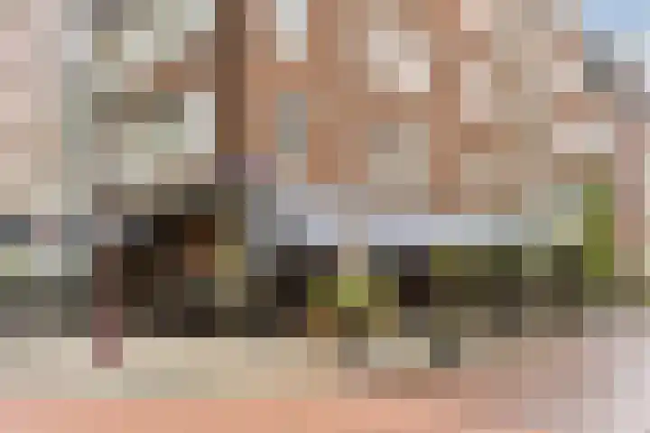 Valckenierstraat 21 2 Amsterdam thumbnail 18
