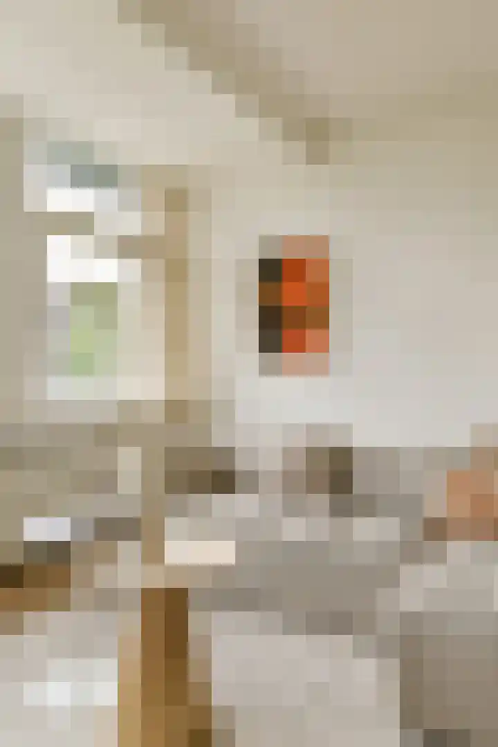 Valckenierstraat 21 2 Amsterdam thumbnail 5