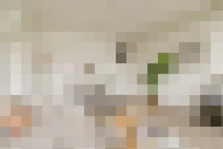 Valckenierstraat 21 2 Amsterdam thumbnail 6
