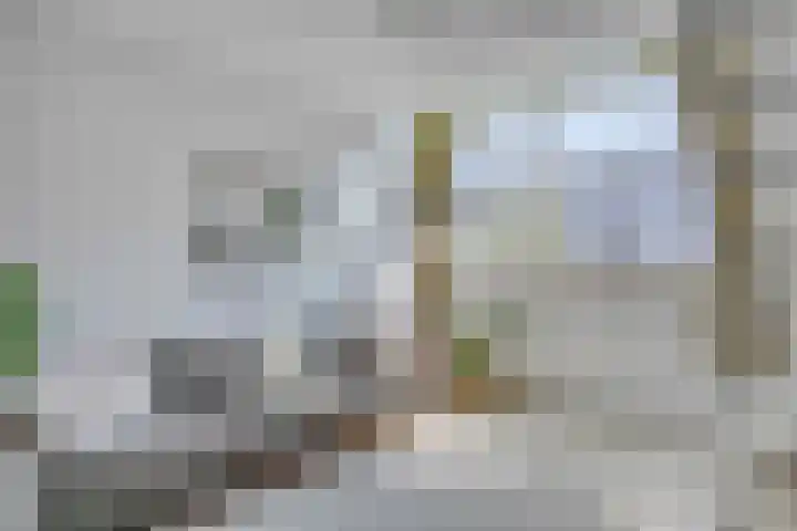 Valckenierstraat 39 K Amsterdam thumbnail 13