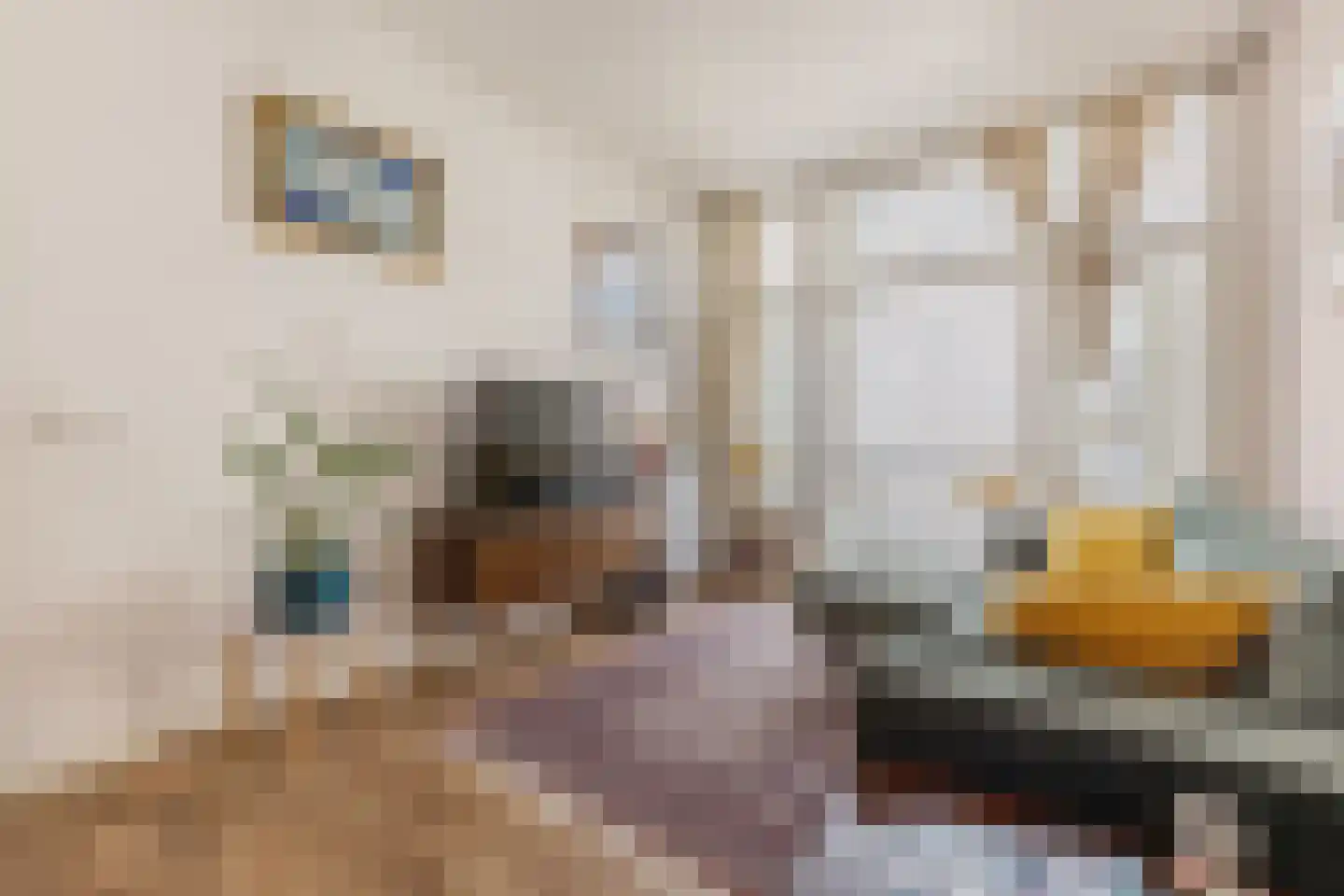 Valckenierstraat 7 1 Amsterdam thumbnail 15