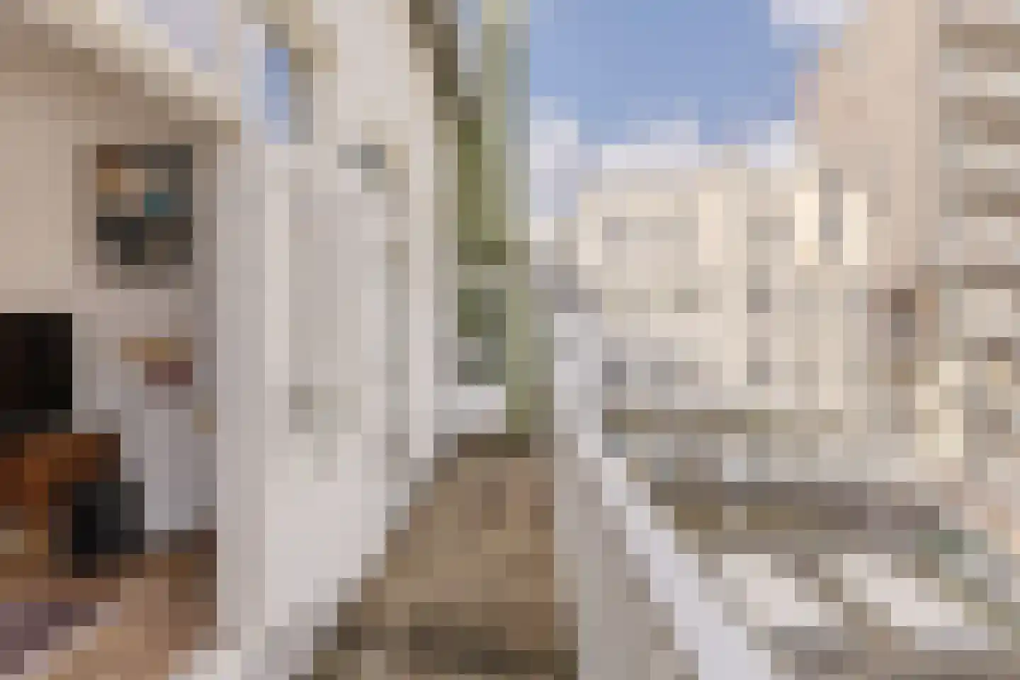 Valckenierstraat 7 3 Amsterdam thumbnail 4