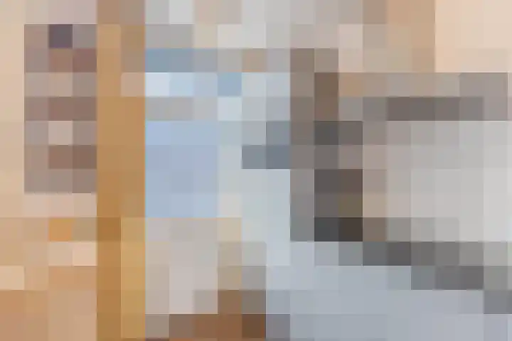 Valckenierstraat 7 3 Amsterdam thumbnail 8