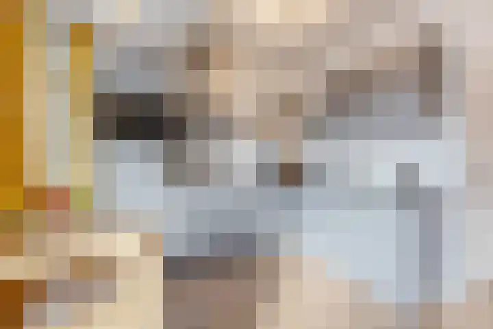 Valckenierstraat 7 3 Amsterdam thumbnail 9