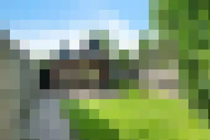 Valckeniersweg 19 Haulerwijk thumbnail 24