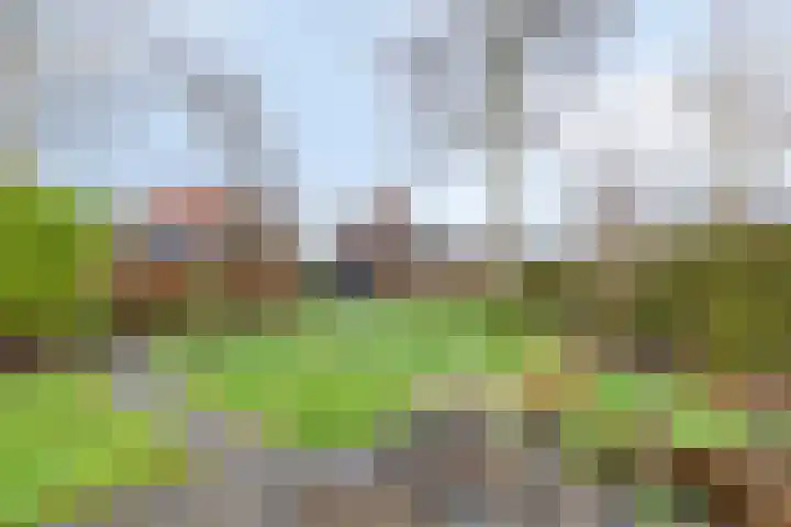 Valckeniersweg 23 Haulerwijk thumbnail 33