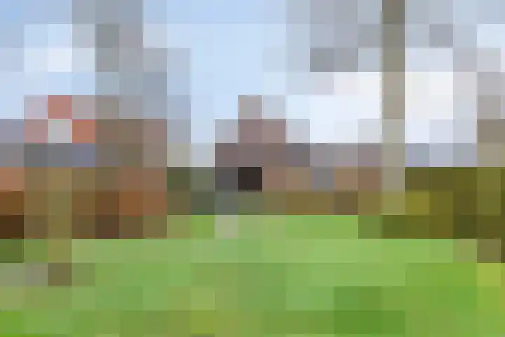 Valckeniersweg 23 Haulerwijk thumbnail 34
