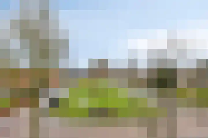 Valckeniersweg 23 Haulerwijk thumbnail 37