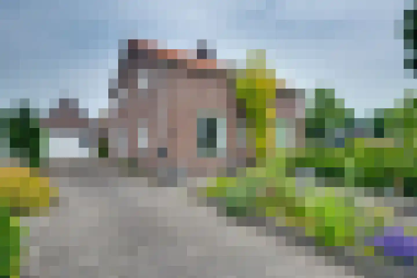 Valckeniersweg 26 Haulerwijk foto 3