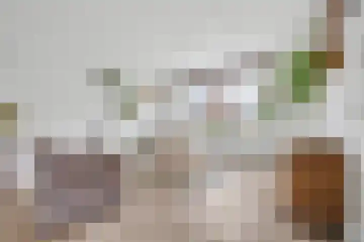 Valckenisseweg 37 Rilland thumbnail 11