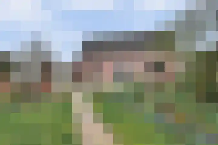 Valckenisseweg 37 Rilland thumbnail 28