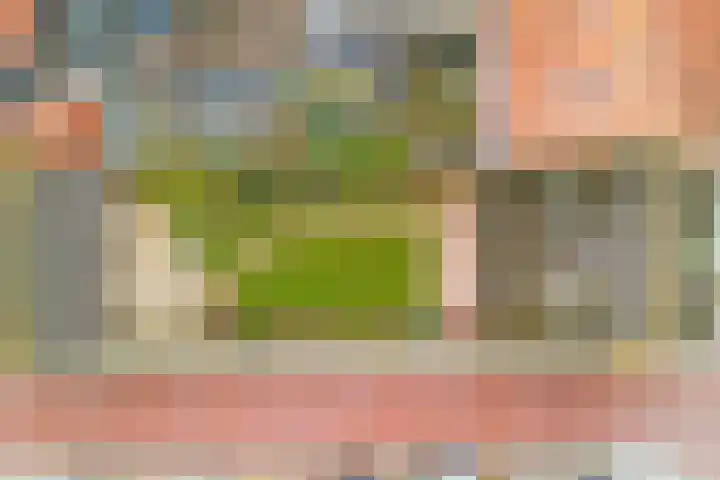 Valckenisseweg 37 Rilland thumbnail 31