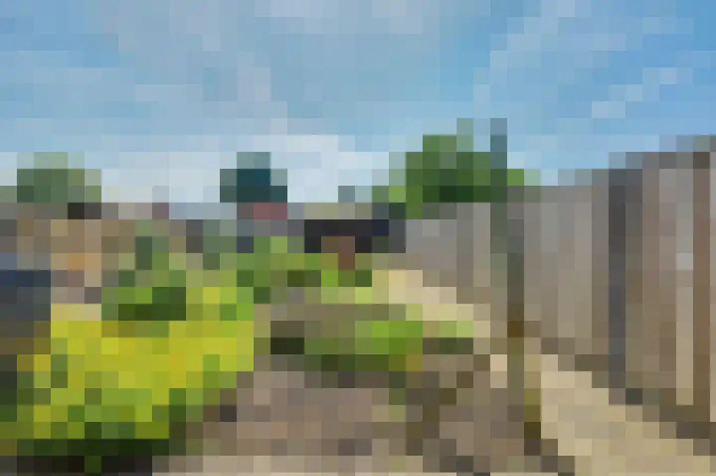 Valckenisseweg 55 Rilland thumbnail 34